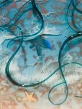 close- up of turtle , jelly fish tentacles and starfish details
